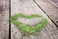 hart liefde gras
