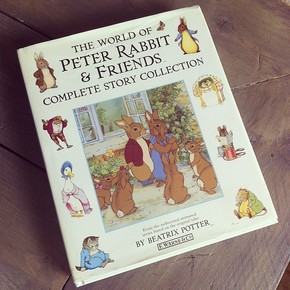 peter rabbit & friends book
