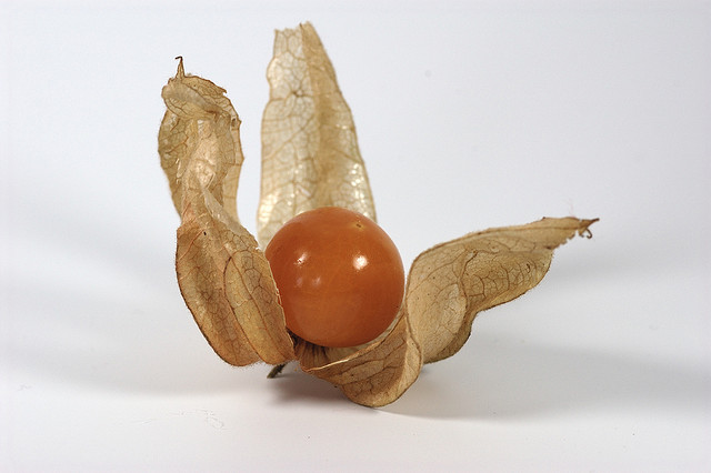 Afbeeldingsresultaat voor onbekend fruit