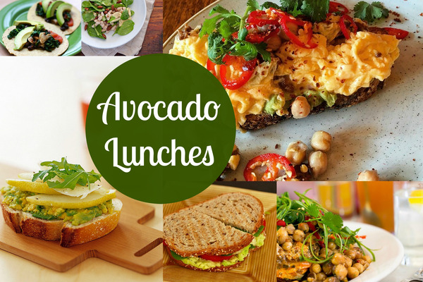 avocado lunches