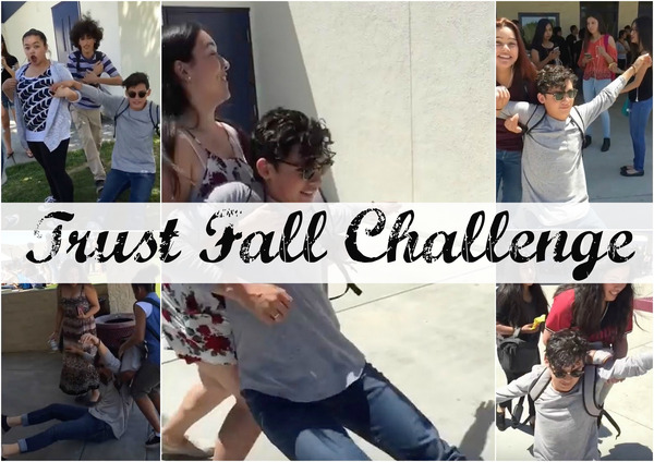 trust fall challenge