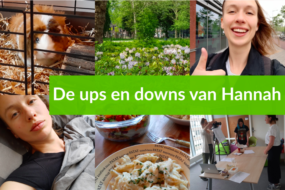 Ploggen: de ups en downs van Hannah 3