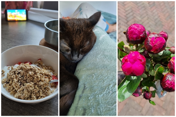 woensdag