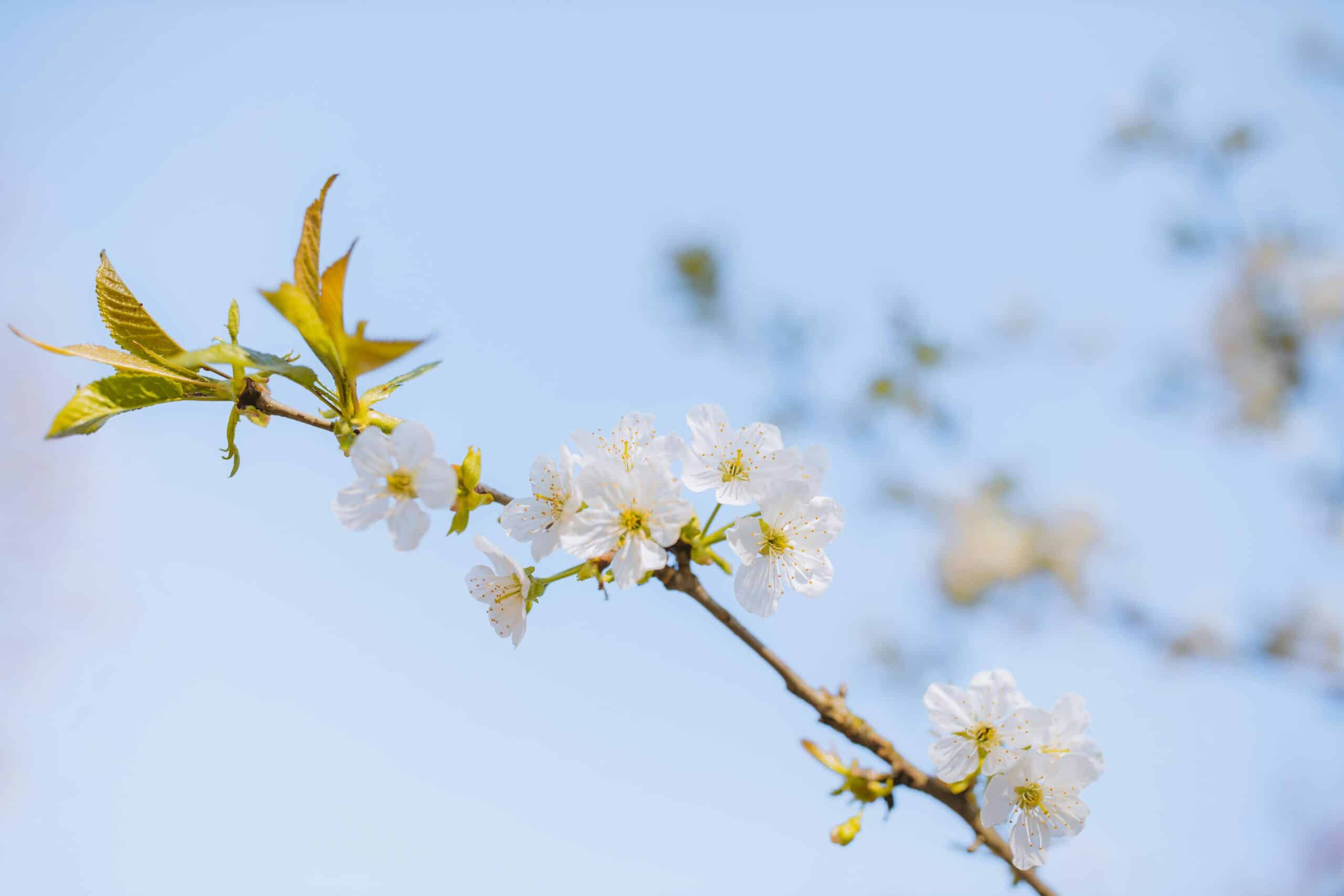 Mooi weer en ongelukkig
