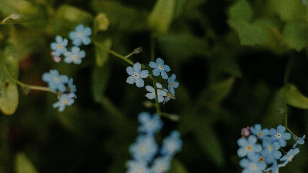 Wat je moet weten over PTSS