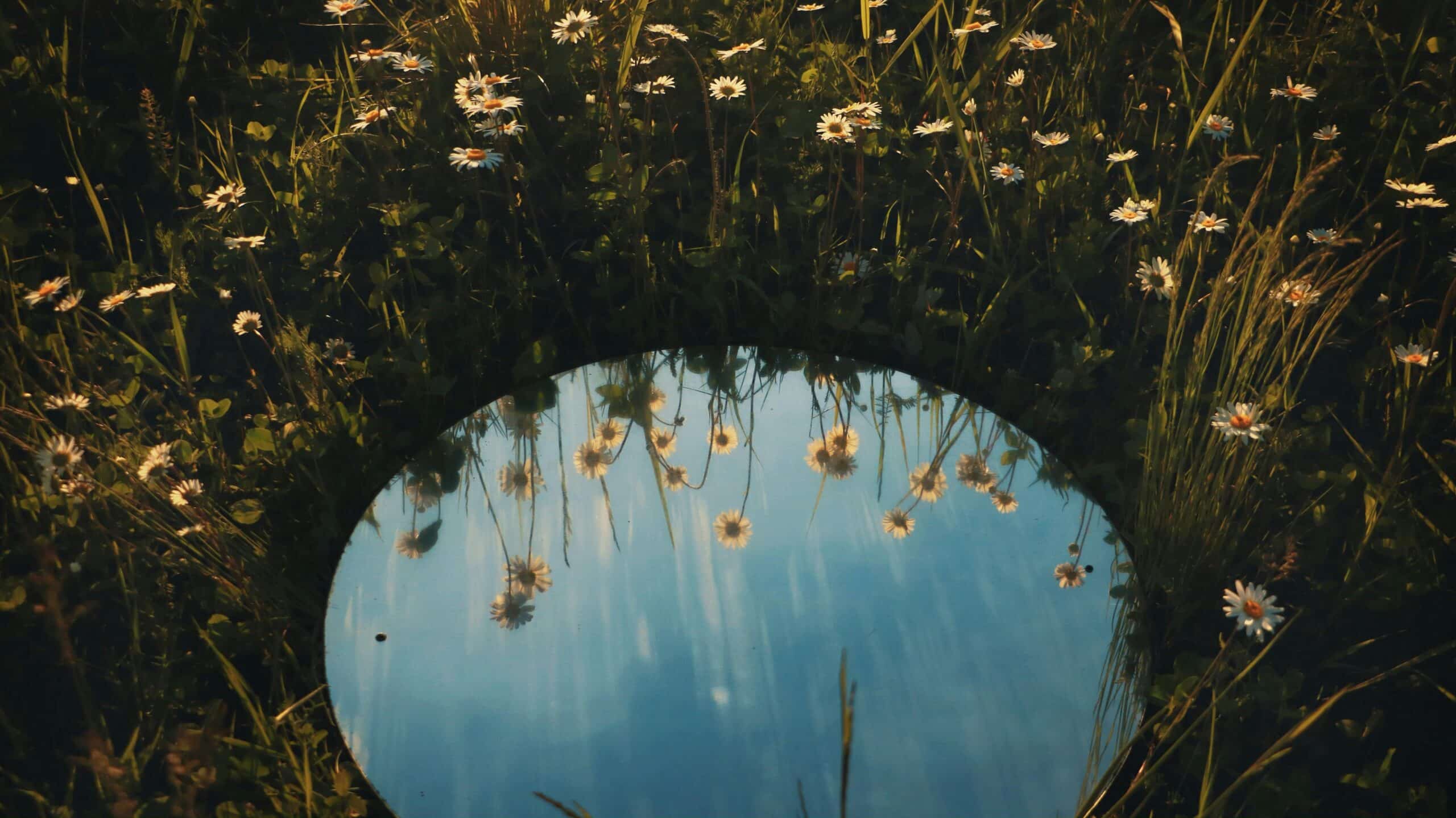 Schoonheidsidealen voor het leven