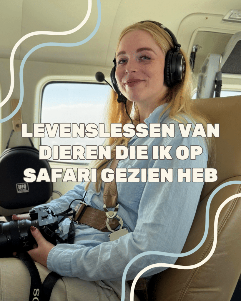 Levenslessen van dieren