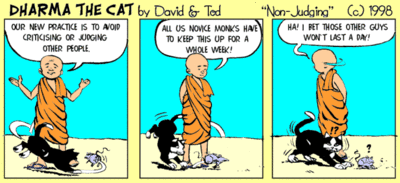 Dharma the cat