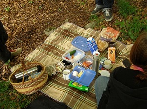 picknick