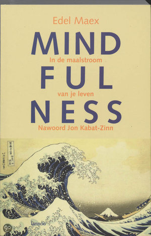 mindfulness boek