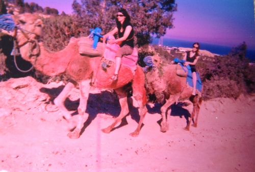 kameel rijden 