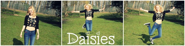  daisies