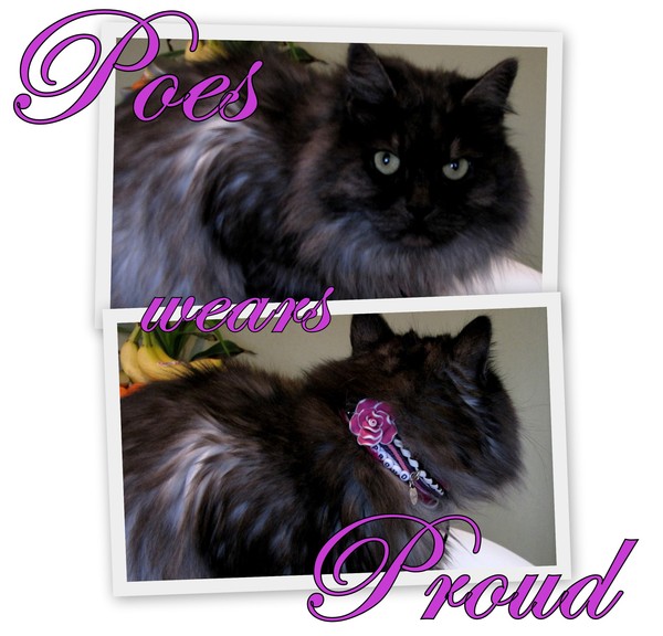 Poes proud2Bme armband